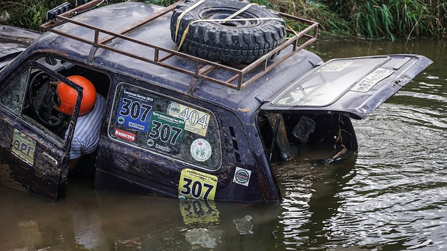 的决定因素 的决定因素