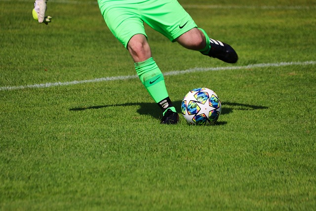 向来是智慧 向来是智慧