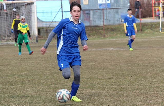 内引发了极 内引发了极