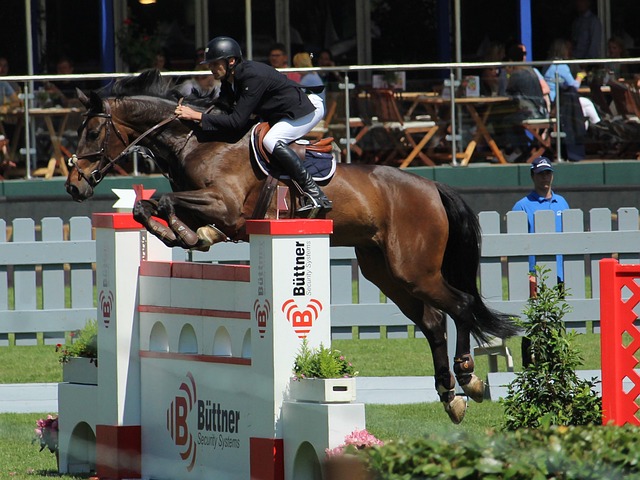 选手过招的 选手过招的