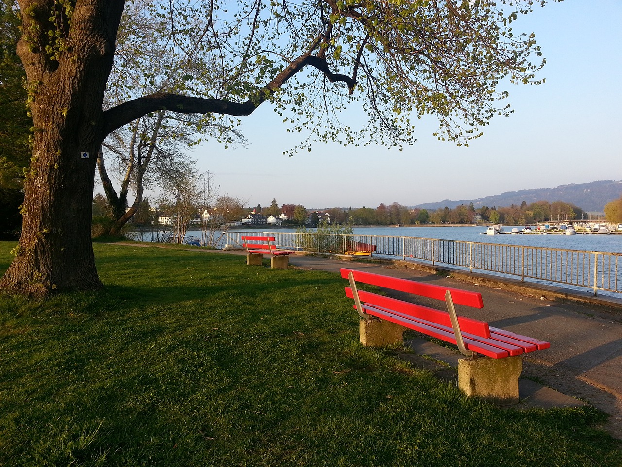 个科学合理 个科学合理